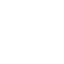 Form Icon